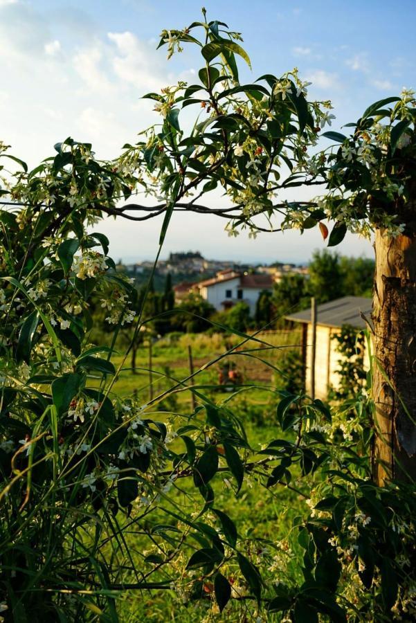 Agriturismo Villa Adimari Cerreto Guidi Exterior photo