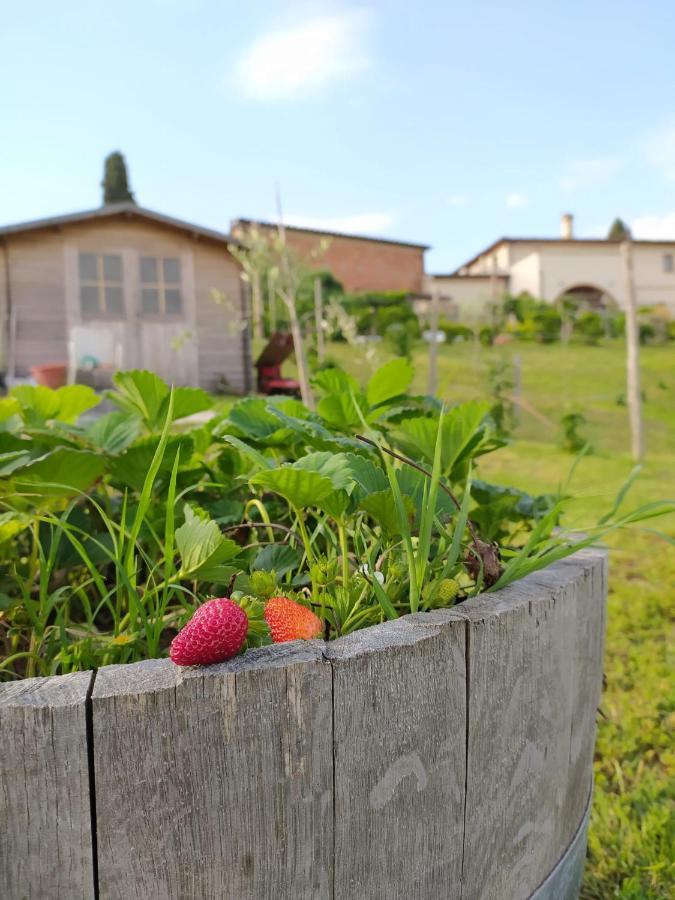 Agriturismo Villa Adimari Cerreto Guidi Exterior photo